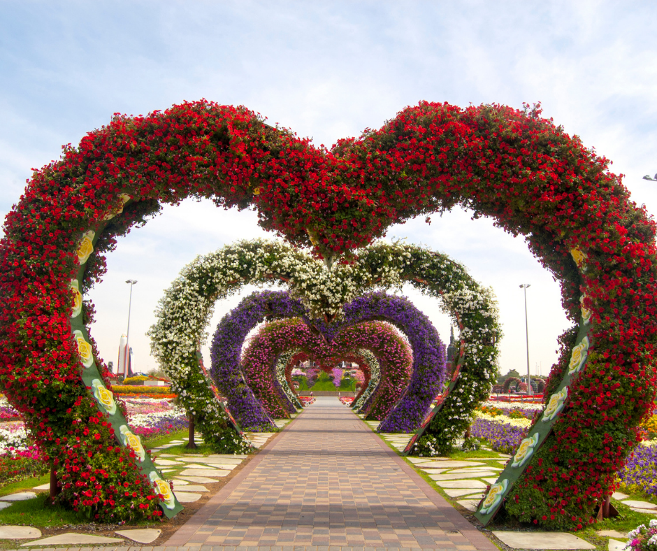 Dubai Miracle Garden