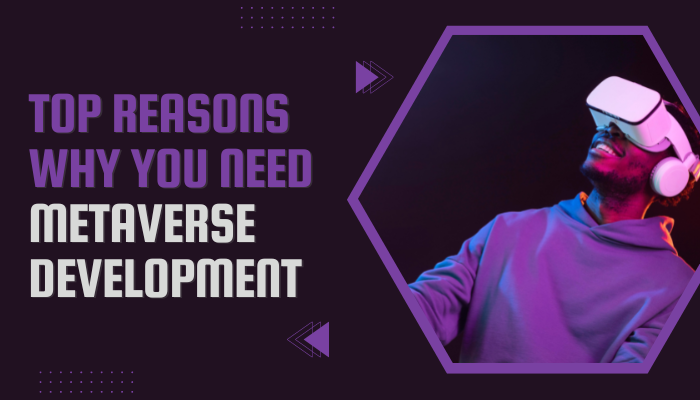 Top Reasons Why You Need Metaverse Development