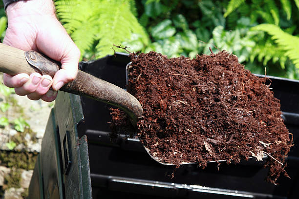 How to prepare organic fertilizer at home