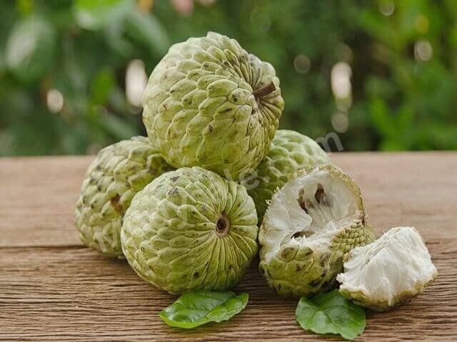 custard apples