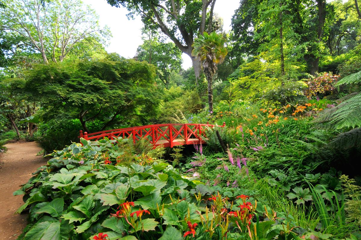 Sub-Tropical Gardens