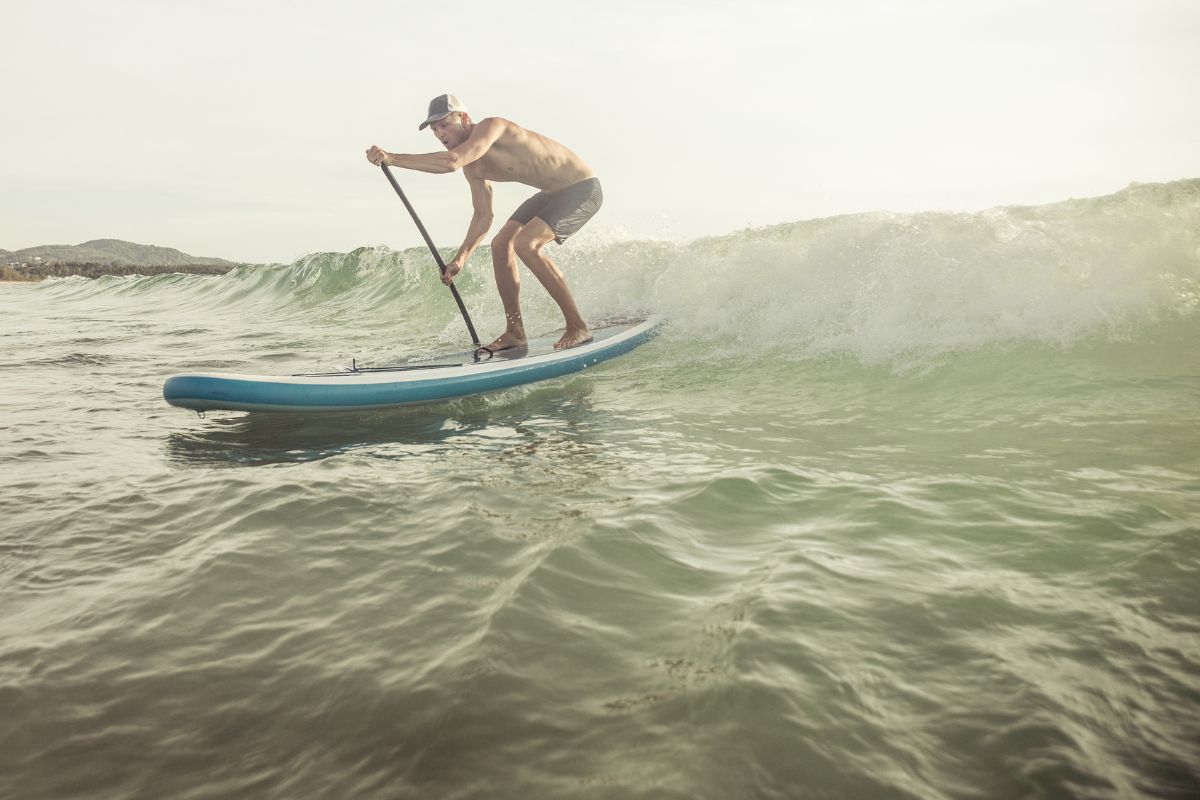 Paddle Board